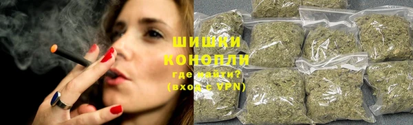 ПСИЛОЦИБИНОВЫЕ ГРИБЫ Сясьстрой