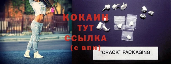 ПСИЛОЦИБИНОВЫЕ ГРИБЫ Сясьстрой