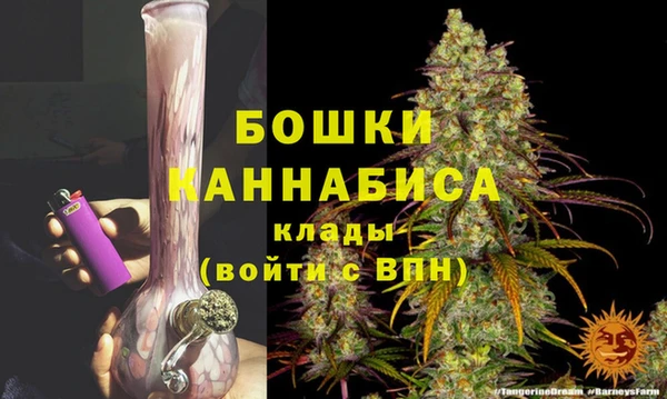 эйфоретик Тавда