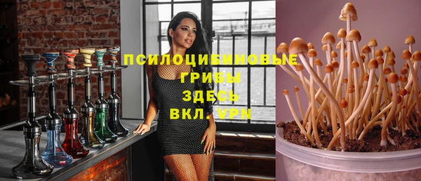 ПСИЛОЦИБИНОВЫЕ ГРИБЫ Сясьстрой