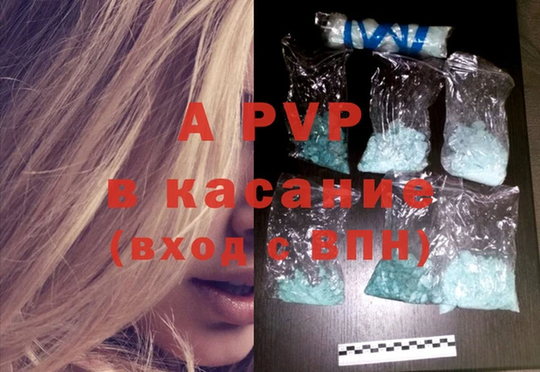 ПСИЛОЦИБИНОВЫЕ ГРИБЫ Сясьстрой