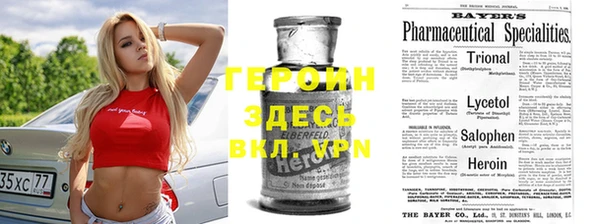 ПСИЛОЦИБИНОВЫЕ ГРИБЫ Сясьстрой