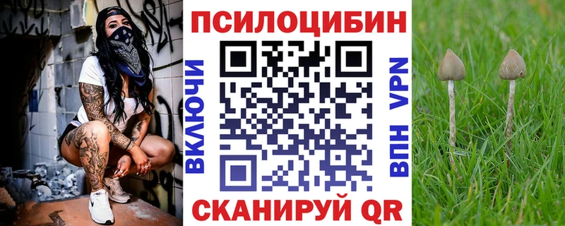 Купить  Сокол  Галлюциногенные грибы Magic Shrooms 